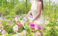 索多玛的120天 快播